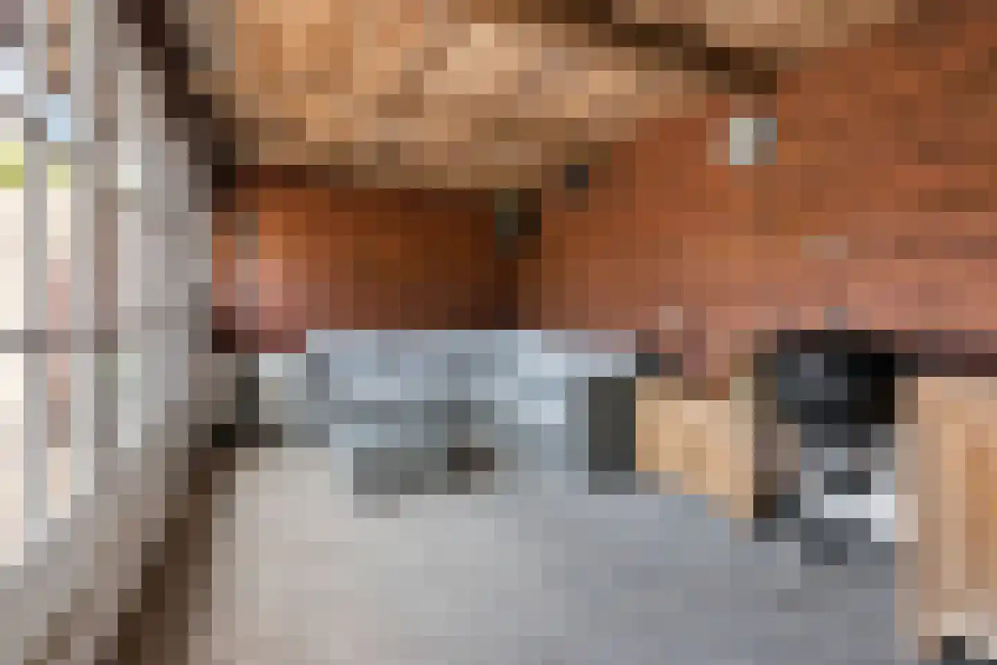 Van Dijkhuizenstraat 38 Nijkerkerveen thumbnail 35