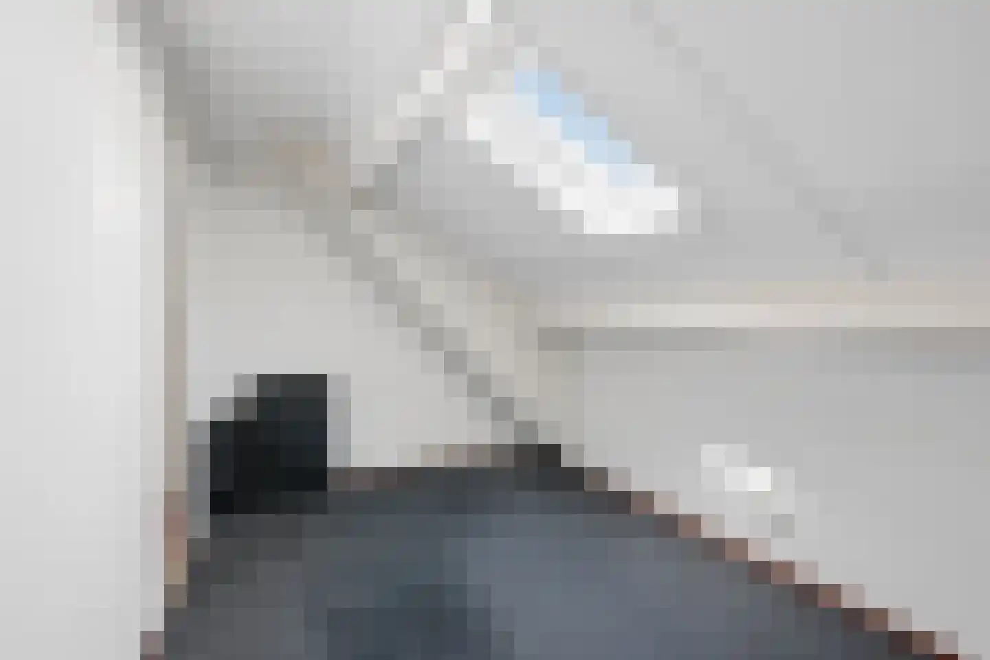 Van Dijkhuizenstraat 38 Nijkerkerveen thumbnail 49