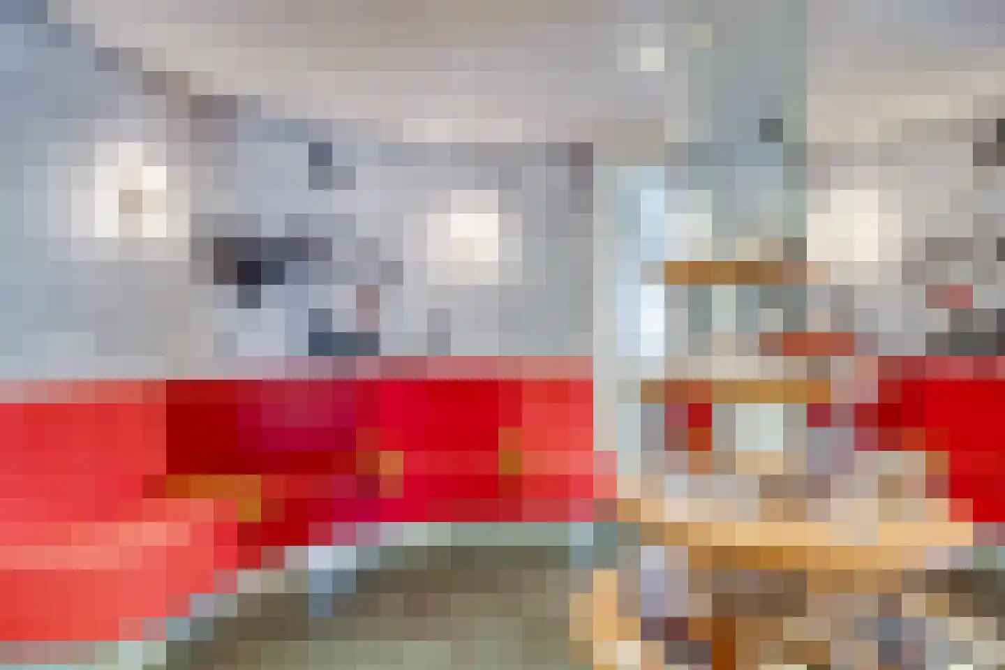 Van Dijkhuizenstraat 74 a Nijkerkerveen thumbnail 10