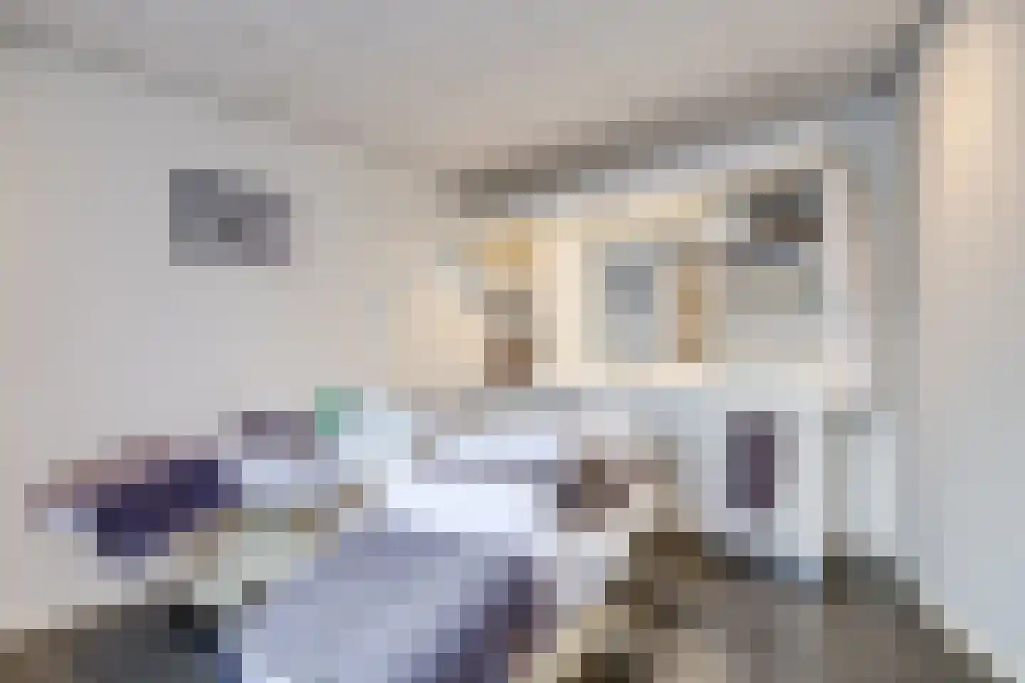 Van Dijkhuizenstraat 74 a Nijkerkerveen thumbnail 16