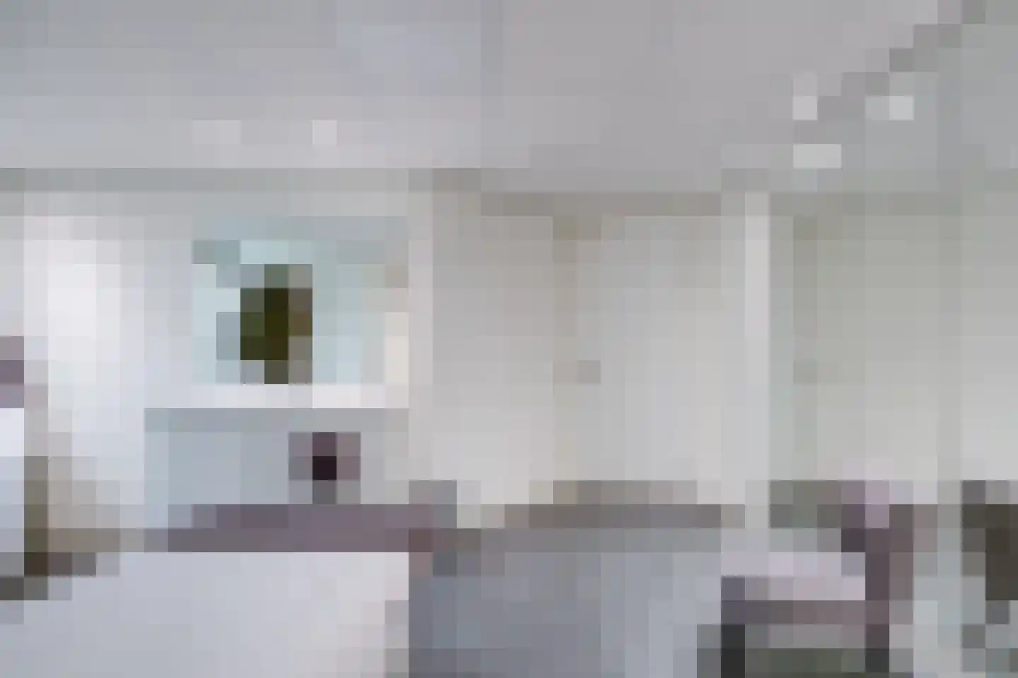 Van Dijkhuizenstraat 74 a Nijkerkerveen thumbnail 27