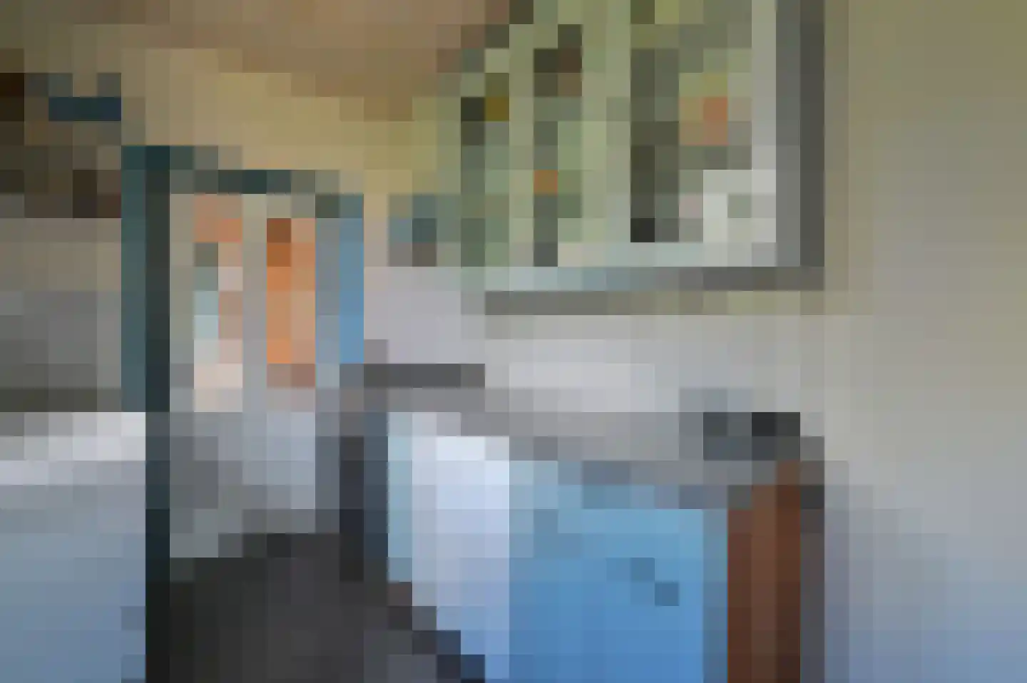 van Dijklaan 20 Amstelhoek thumbnail 18