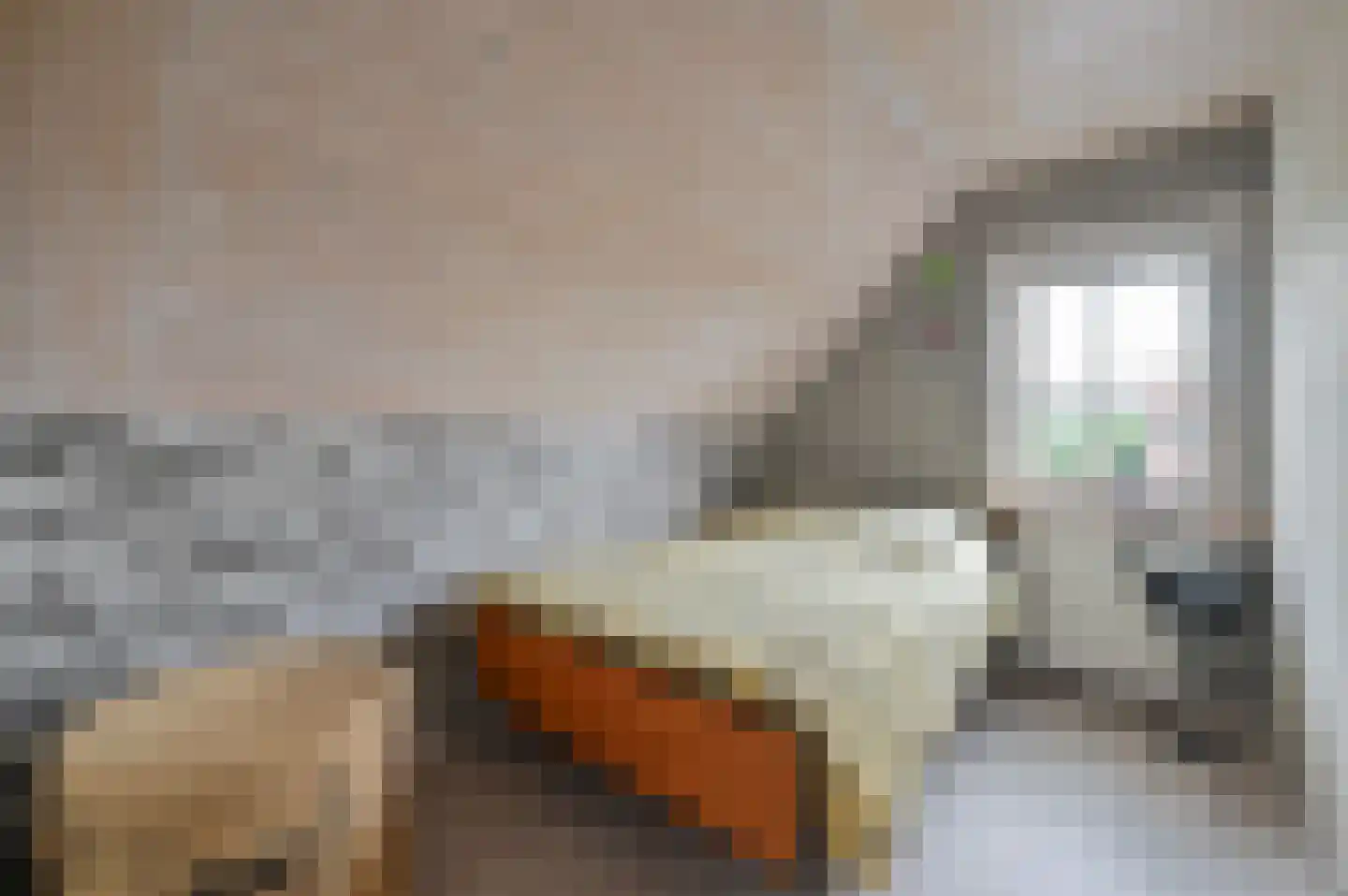 van Dijklaan 20 Amstelhoek thumbnail 22