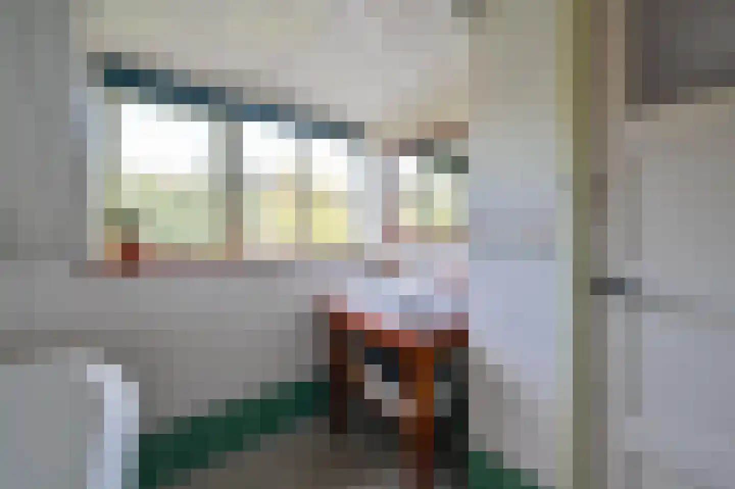 van Dijklaan 20 Amstelhoek thumbnail 30