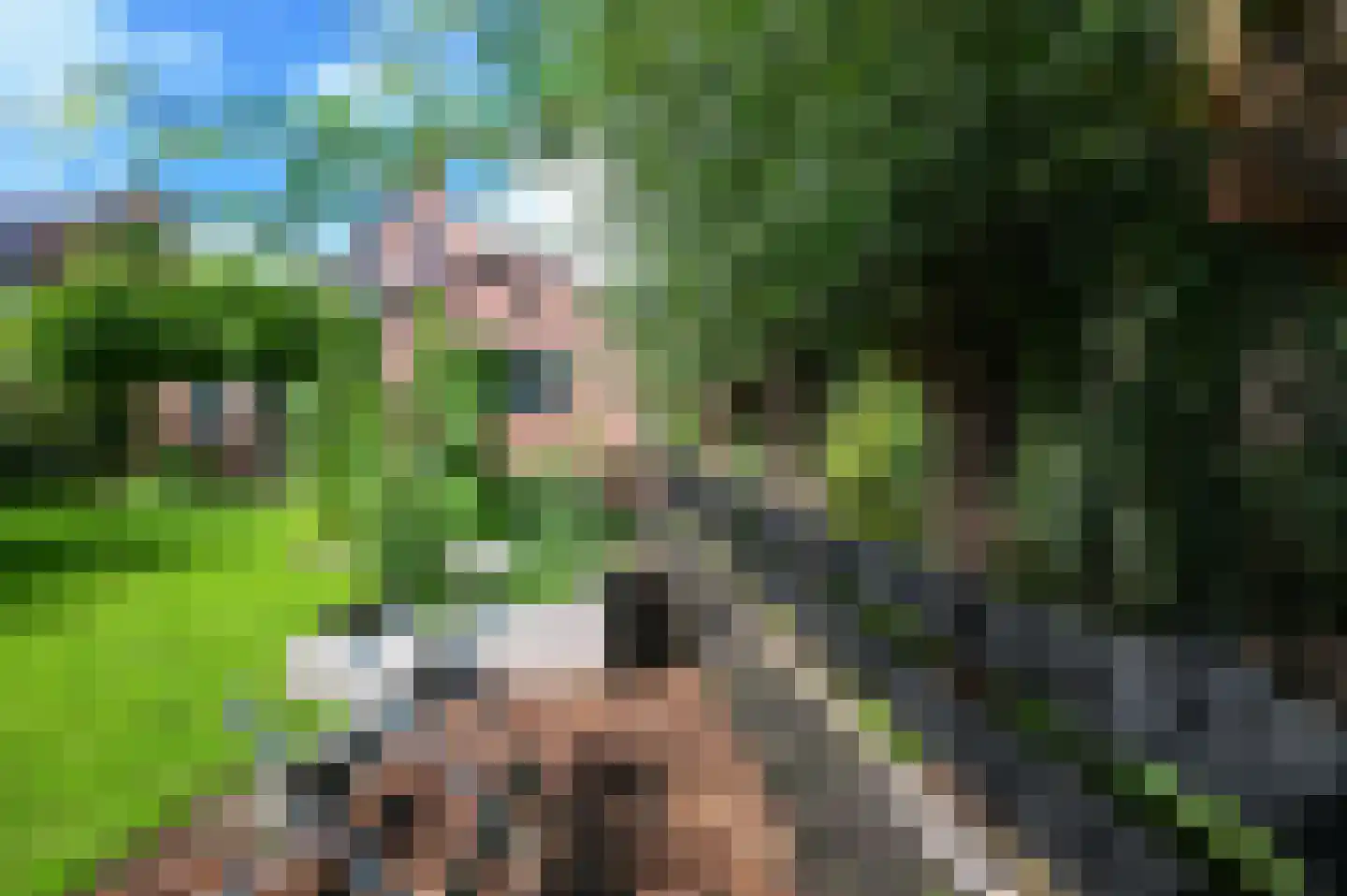 van Dijklaan 20 Amstelhoek thumbnail 35