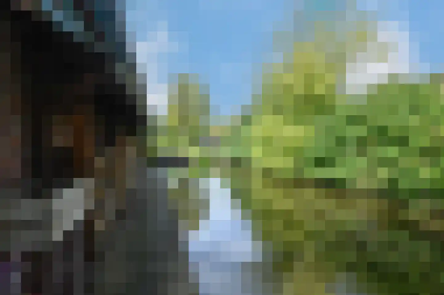 van Dijklaan 20 Amstelhoek thumbnail 36