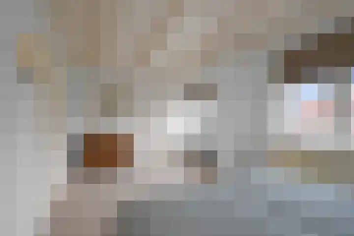 van Dijklaan 5 Amstelhoek thumbnail 23