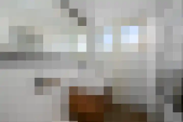 van Dijklaan 5 Amstelhoek thumbnail 30