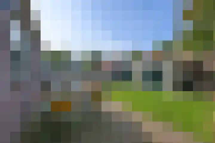 van Dijklaan 5 Amstelhoek thumbnail 39