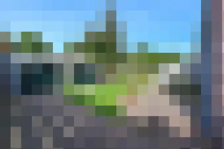 van Dijklaan 5 Amstelhoek thumbnail 40