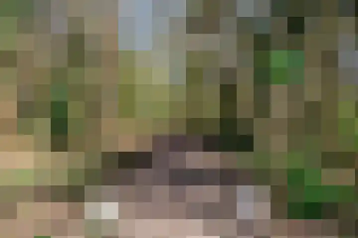 Van Dijkstraat 12 Hilversum thumbnail 25