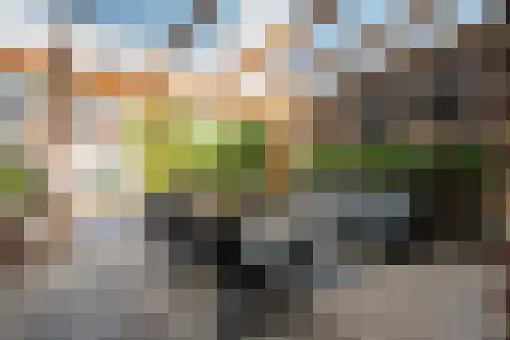 Van Dijkstraat 25 Alphen aan den Rijn thumbnail 34