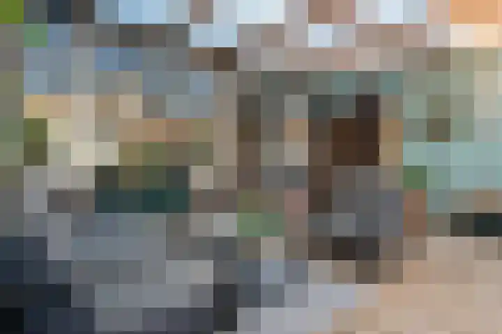 Van Dijkstraat 25 Alphen aan den Rijn thumbnail 36