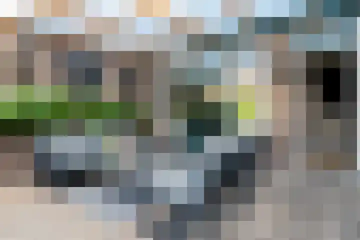 Van Dijkstraat 25 Alphen aan den Rijn thumbnail 37