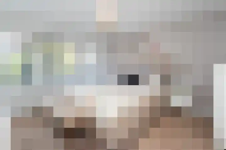 Van Dijkstraat 8 Hilversum thumbnail 13