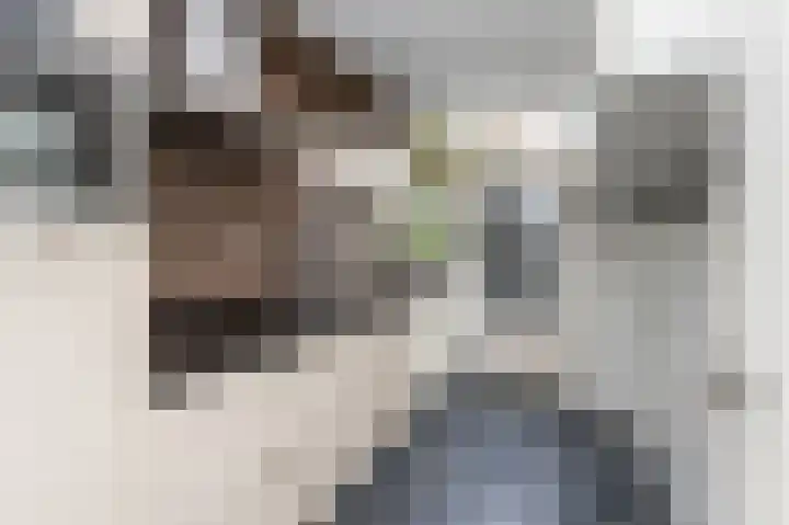 Van Dijkstraat 8 Hilversum thumbnail 9