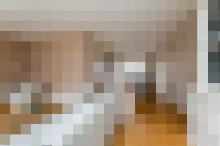 van Dijksweg 26 Zalk thumbnail 11