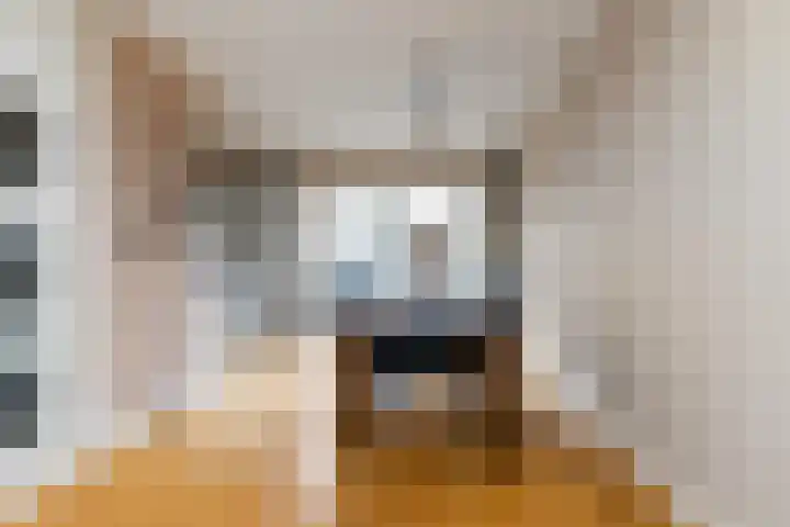 van Dijksweg 26 Zalk thumbnail 12