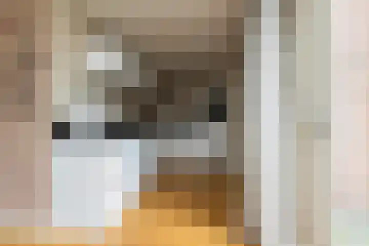 van Dijksweg 26 Zalk thumbnail 14