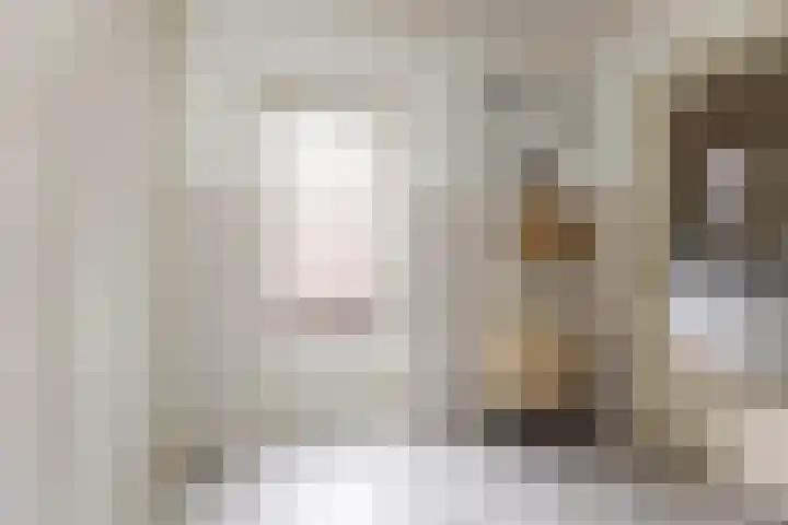van Dijksweg 26 Zalk thumbnail 17