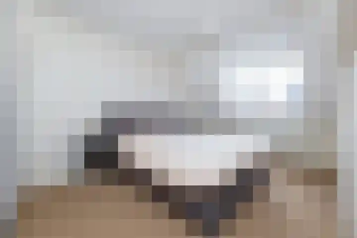 van Dijksweg 26 Zalk thumbnail 23