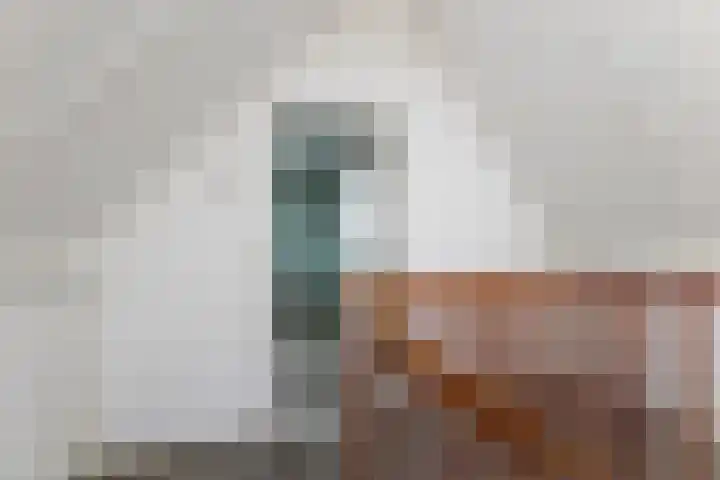 van Dijksweg 26 Zalk thumbnail 30