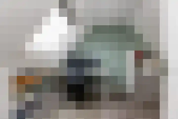 van Dijksweg 26 Zalk thumbnail 31