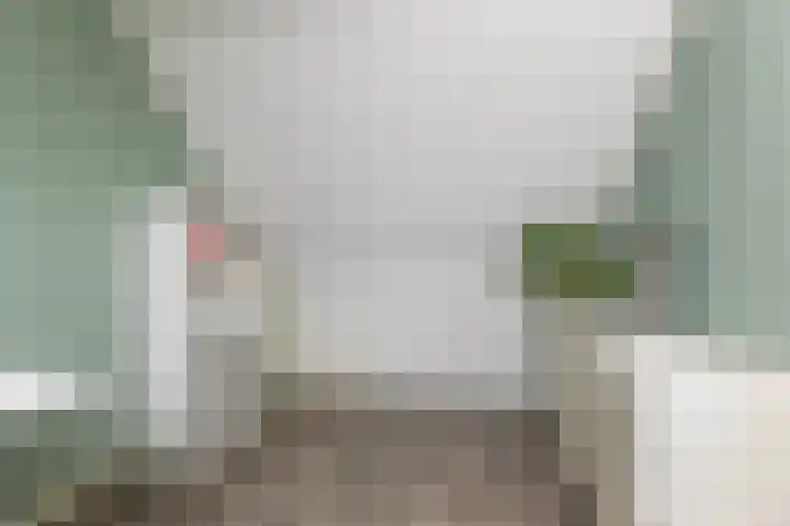 van Dijksweg 26 Zalk thumbnail 33