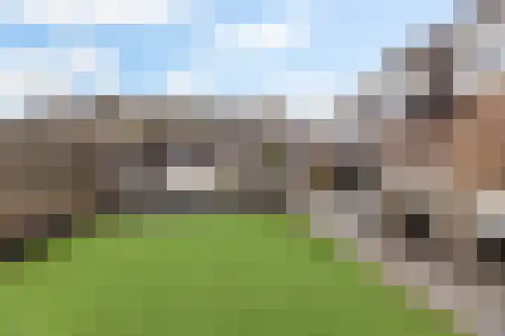 van Dijksweg 26 Zalk thumbnail 37