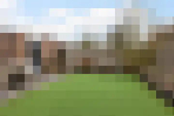 van Dijksweg 26 Zalk thumbnail 39