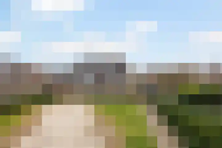 van Dijksweg 26 Zalk thumbnail 41