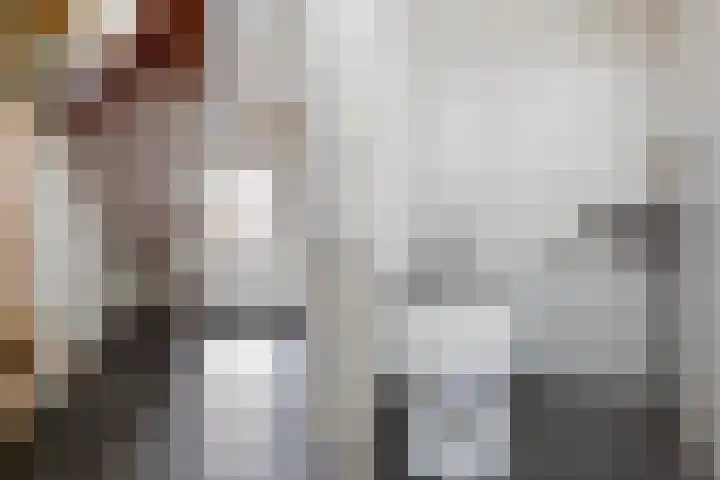 van Dijksweg 26 Zalk thumbnail 5