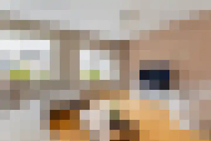 van Dijksweg 26 Zalk thumbnail 7