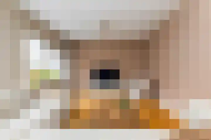 van Dijksweg 26 Zalk thumbnail 8