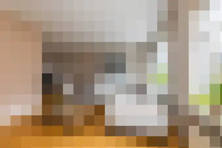 van Dijksweg 26 Zalk thumbnail 9