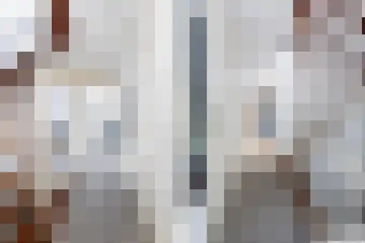 van Dijksweg 28 Zalk thumbnail 23