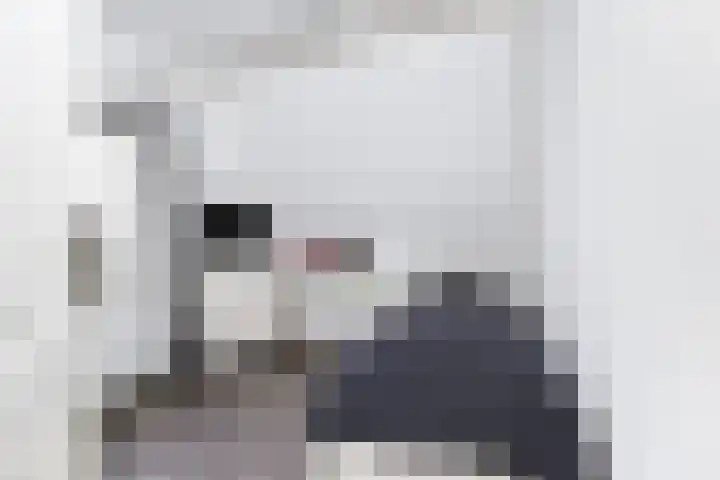 van Dijksweg 28 Zalk thumbnail 26