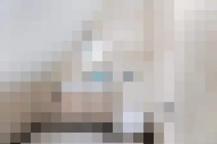 van Dijksweg 28 Zalk thumbnail 29