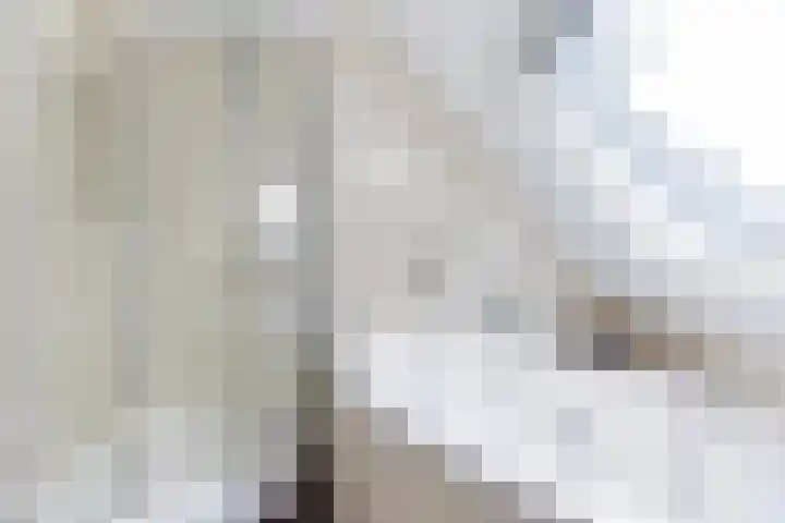 van Dijksweg 28 Zalk thumbnail 30