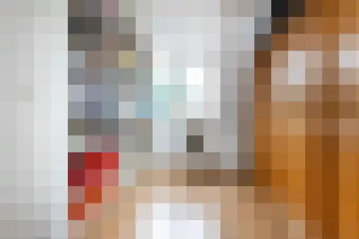 van Dijksweg 28 Zalk thumbnail 31