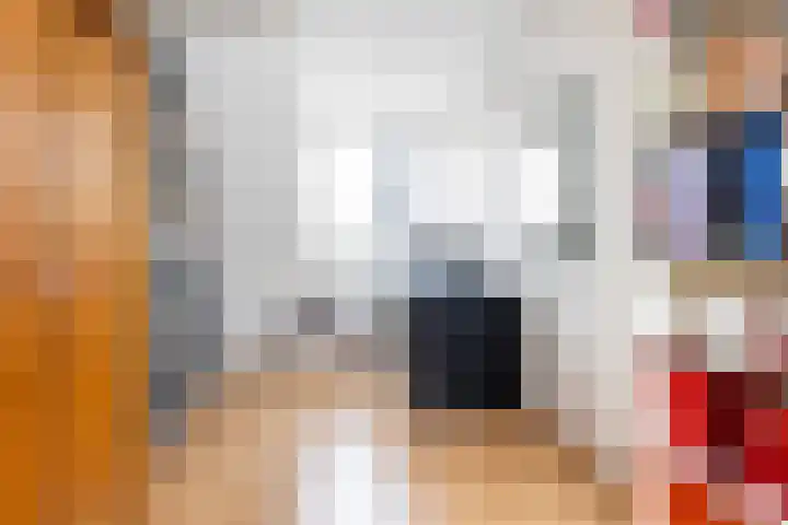 van Dijksweg 28 Zalk thumbnail 32