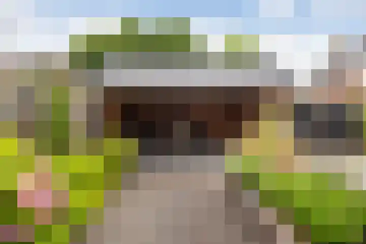 van Dijksweg 28 Zalk thumbnail 34