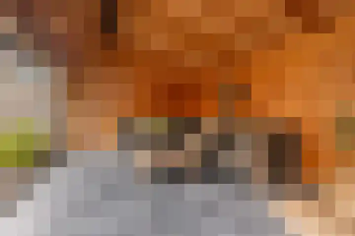 van Dijksweg 28 Zalk thumbnail 35