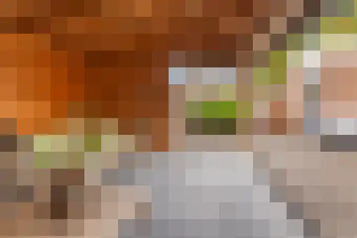 van Dijksweg 28 Zalk thumbnail 36