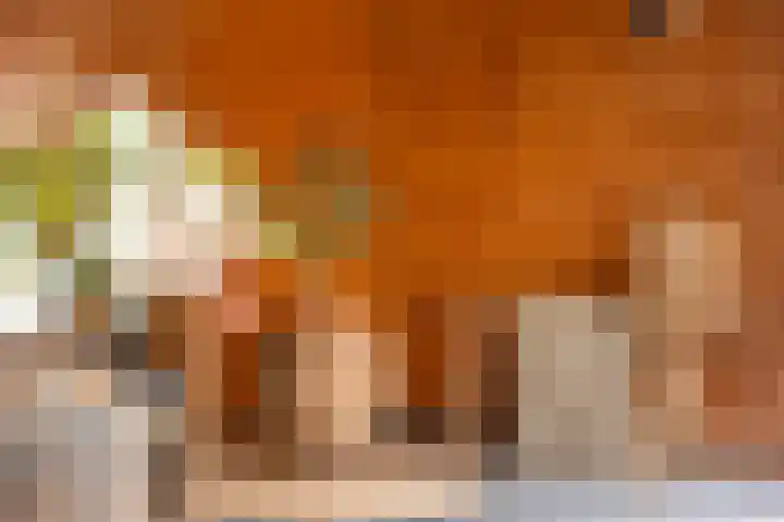 van Dijksweg 28 Zalk thumbnail 37