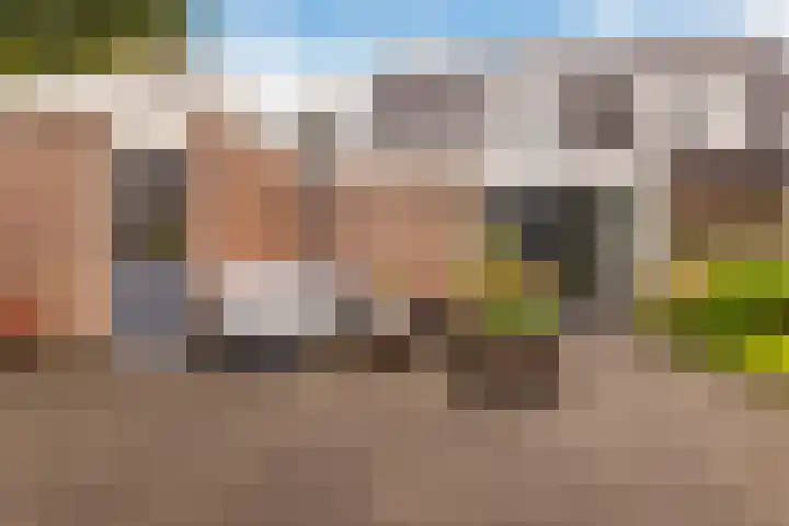 van Dijksweg 28 Zalk thumbnail 38