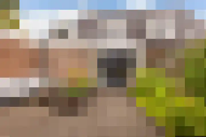 van Dijksweg 28 Zalk thumbnail 39
