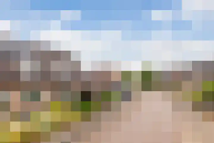 van Dijksweg 28 Zalk thumbnail 4