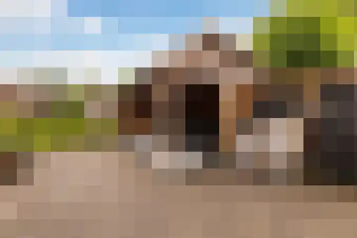 van Dijksweg 28 Zalk thumbnail 40