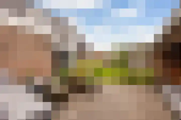 van Dijksweg 28 Zalk thumbnail 41